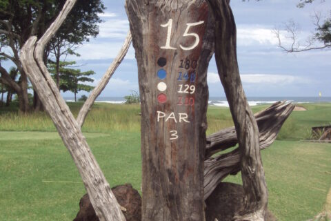 Beachfront Golf at All Inclusive Resort in Costa Rica