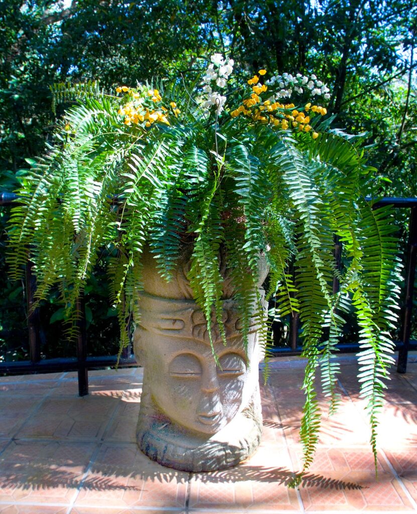 This statue planter is a stunning feature on the terrace. 