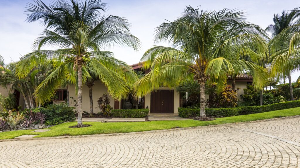 Like what you see? This view is what can be found. Coconut trees and warm breezes is appreciated fully to your hearts content at papagayo