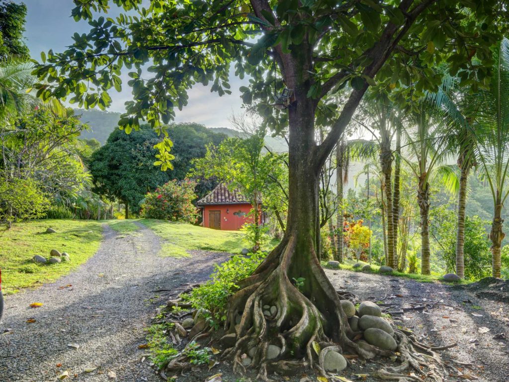 The secluded gated road leading to the property is very private and secure. 
