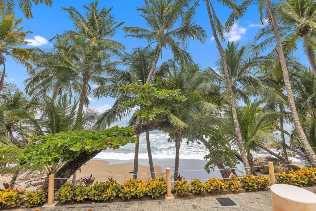 Wake up to peaceful views of Playa Tambor, where tropical palms, a quiet sandy beach, and the Pacific Ocean define the beauty of Costa Rica's Nicoya Peninsula.