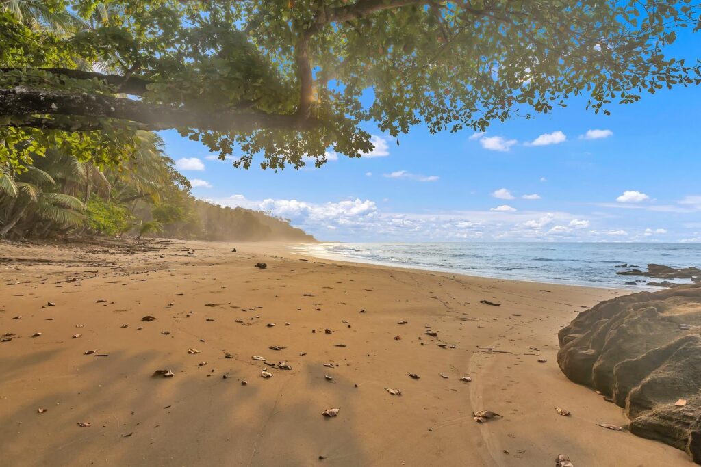 Step onto the peaceful shores of Playa Tambor, where soft sand, tropical palms, and the Pacific Ocean create one of Costa Rica's most relaxing beach destinations.