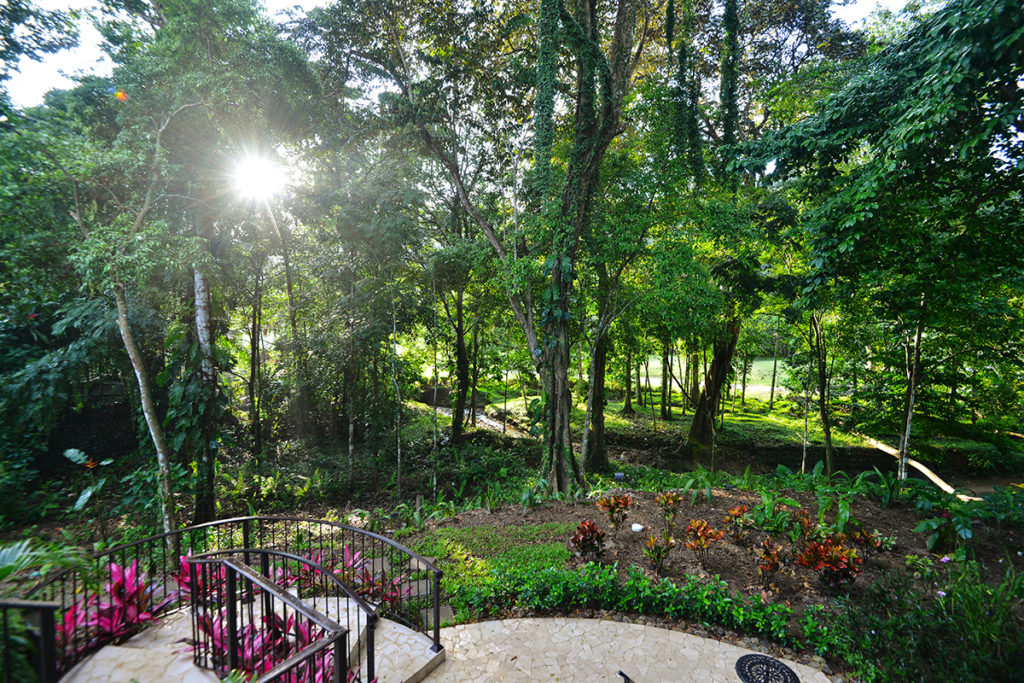 Enjoy a jungle vista, where toucans, macaws, and monkeys are often spotted from the backyard.