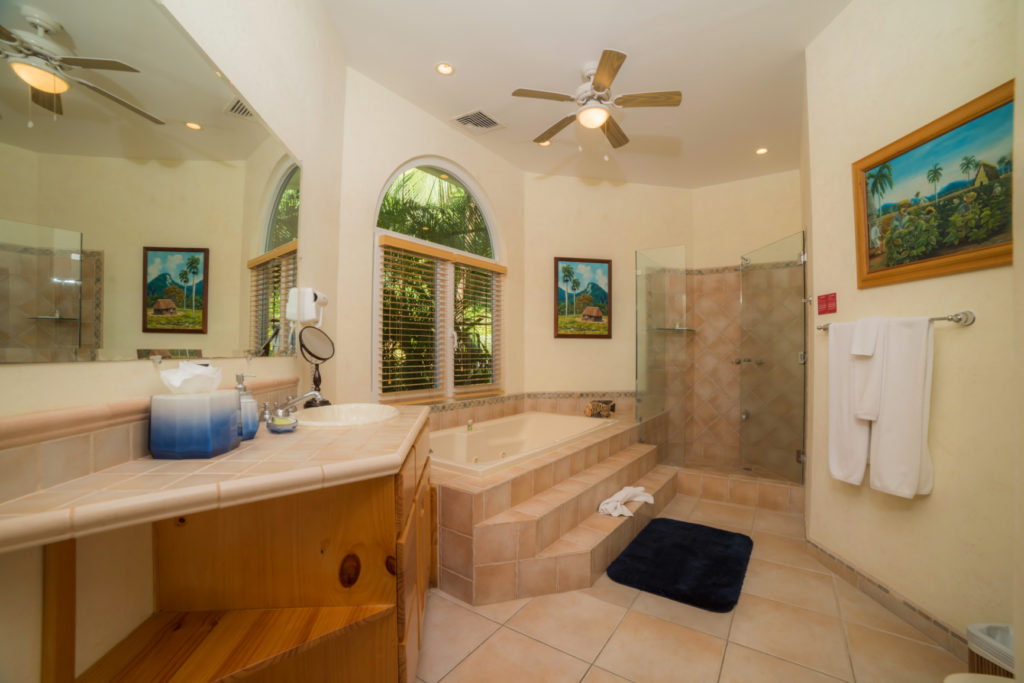 Unwind in this generously sized, well-lit bathroom, complete with a bathtub, and a sleek, spacious shower for a refreshing escape.