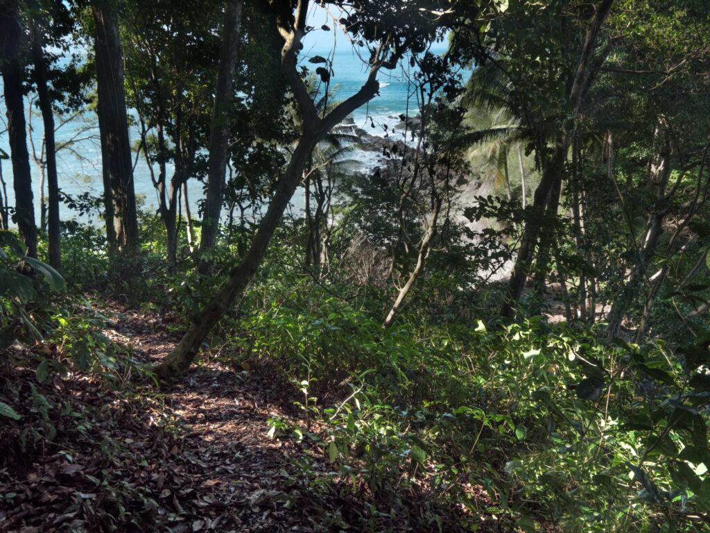 A hidden shoreline awaits at the end of the jungle path. 