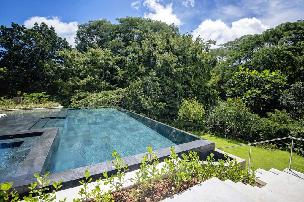 Modern pool surrounded by the lush beauty