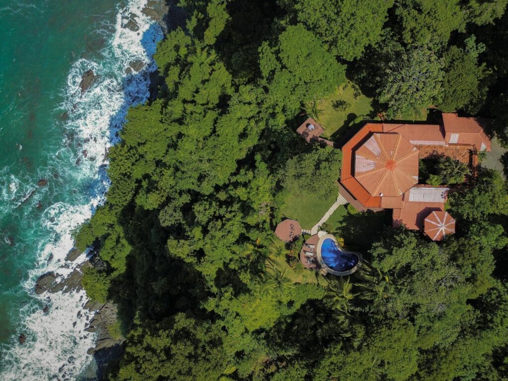 where-jungle-meets-ocean