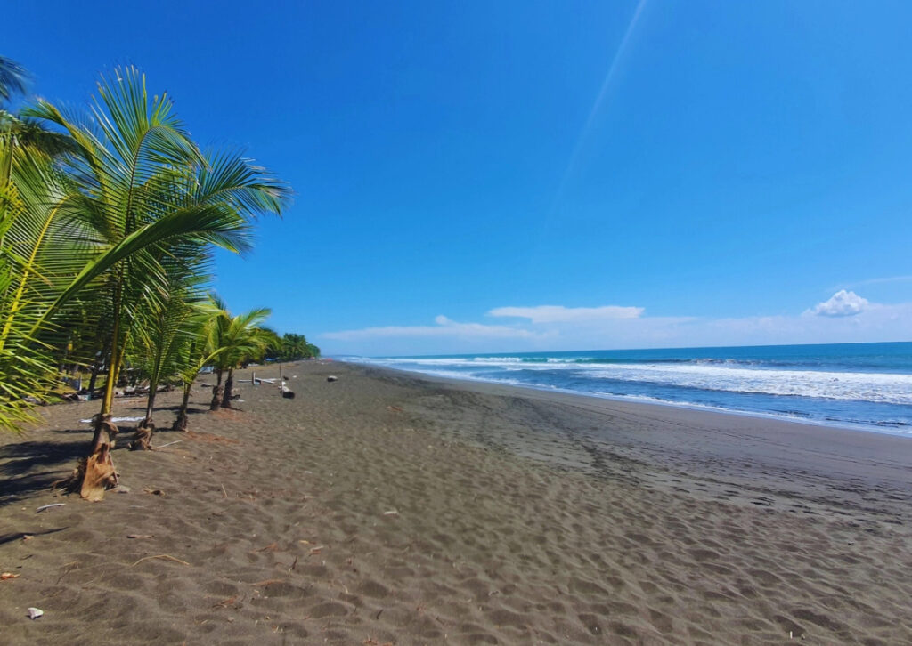 Playa Hermosa offers a more tranquil coastal setting nearby, known for its natural beauty and consistent surf.