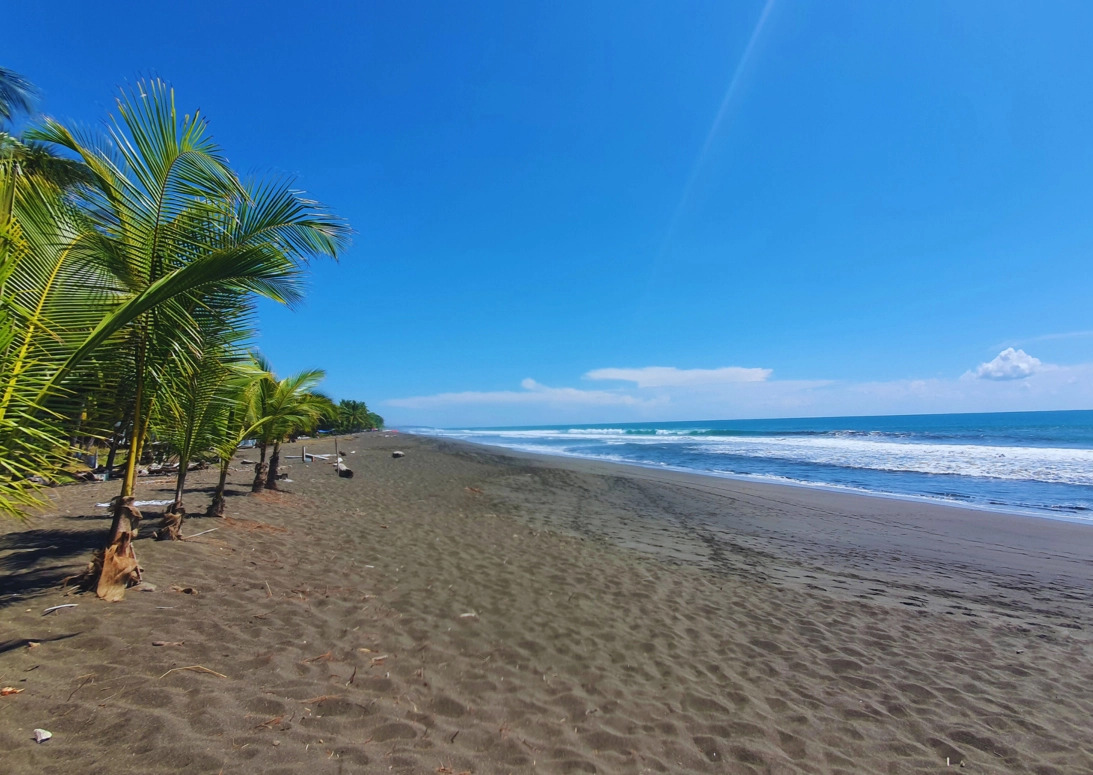 Playa Hermosa beach with palm trees, dark sand, ocean waves, and open coastline near Los Sueños.