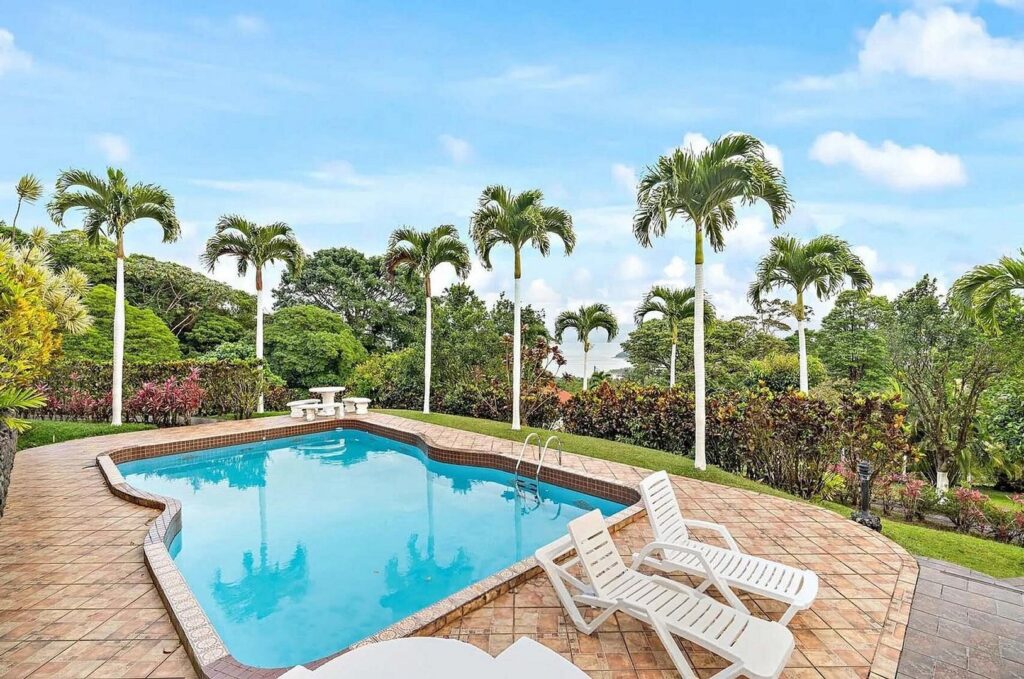 A extra large swimming pool surrounded by magical palm trees on all sides