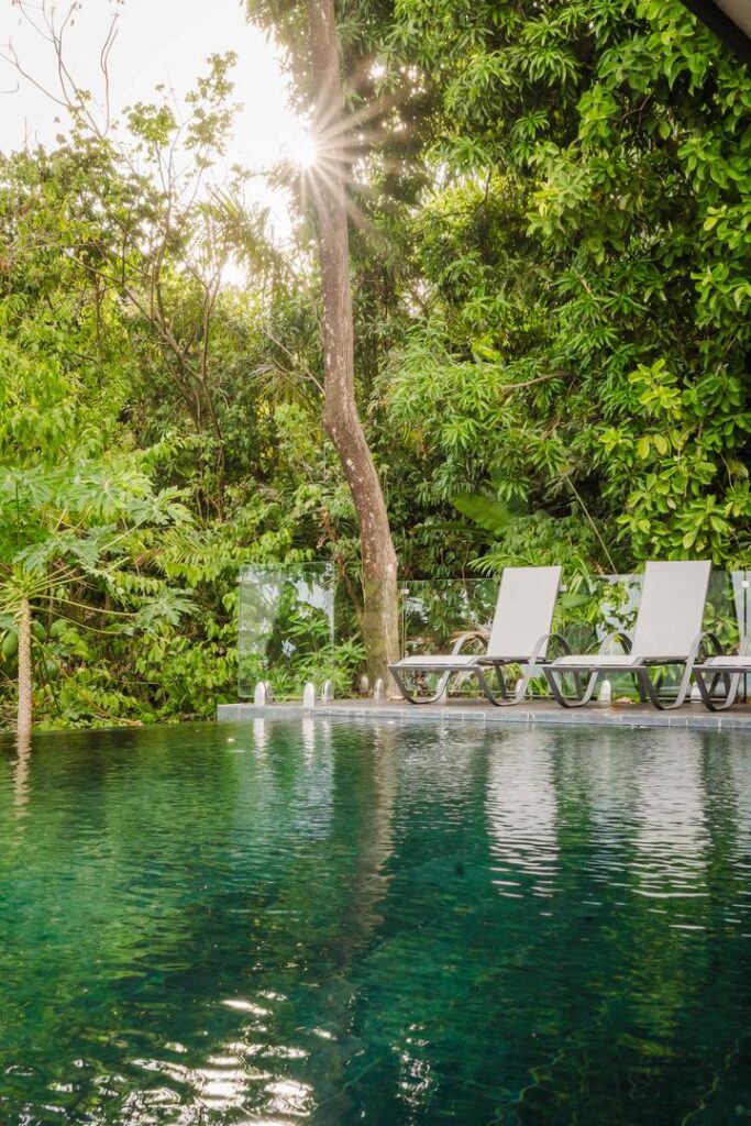 Morning light filters through the trees beside a quiet jungle pool.