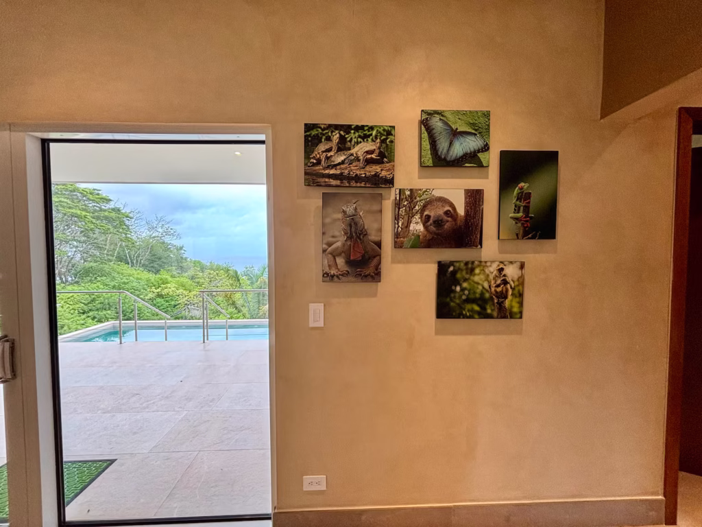 Wildlife-inspired artwork throughout the home celebrates the biodiversity that makes Costa Rica so special.